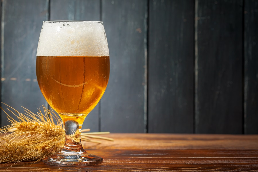 alimentos proibidos para pets bebidas alcóolicas