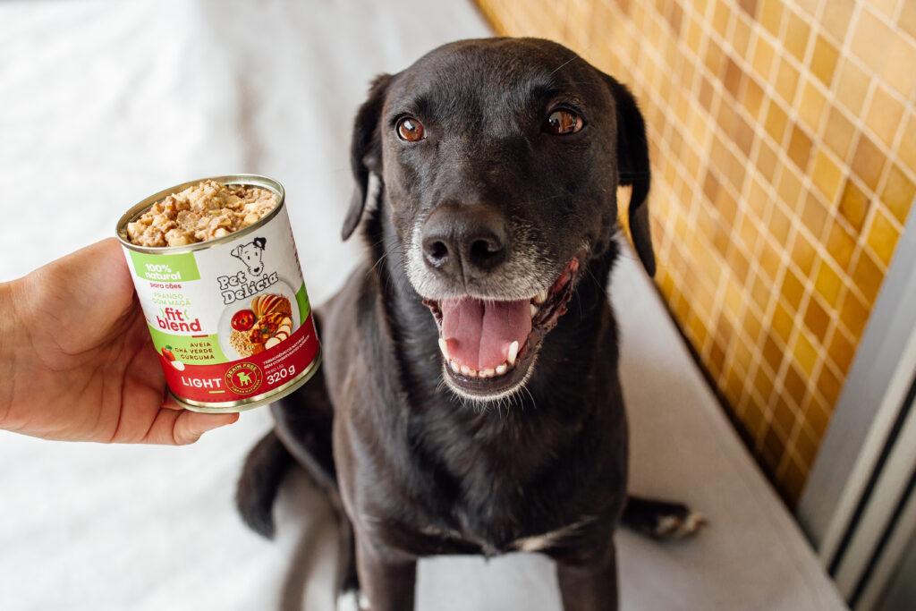 cachorro olhando para latinha de comida
